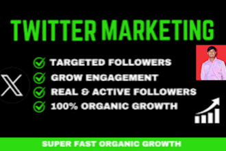 organic x twitter promotion with real followers