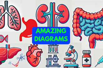 make scientific, medical diagrams, figures, graphical abstract and infographics