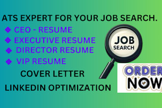 craft and revamp professional executive and CEO resumes
