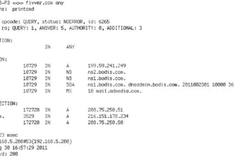detect and fix dns or domain problem