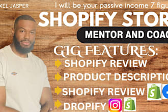 be your shopify mentor product coach do shopify review for shopify maintenance