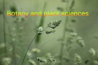 write biology and botany plant science related content