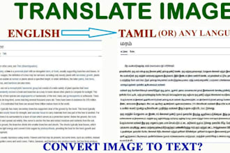 do tamil and english transcription and translation works