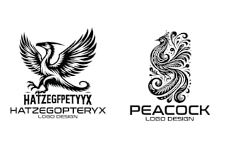 create professional falcon phoenix logo