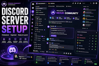 setup custom discord server professionally