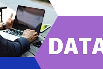 do statistical data analysis, research and summary writing
