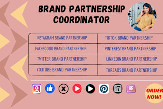 be your brand partnership coordinator for social media