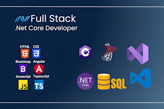 be your expert asp dotnet core full stack developer