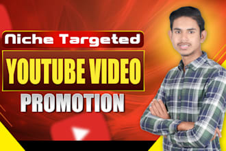 do niche targeted organic youtube video promotion