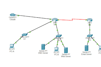 do networking related work by cisco packet tracer and gns3