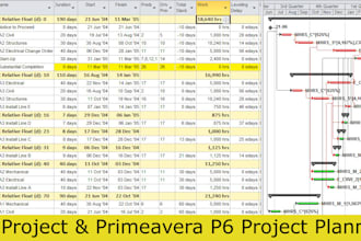 design construction schedule on ms project or primeavera p6