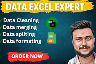 clean, organize, merge and analyze your data using excel