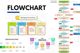 design flowcharts, organogram and infographics within your time