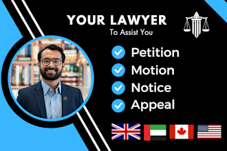 be your lawyer and draft petitions, motions and appeals