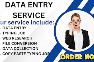 do data entry, web research, copy paste, data collection, and excel data entry