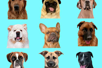 draw your dogs and pets into cartoon vector portraits