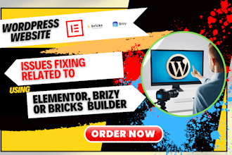 fix brizy or bricks builder website issues fast