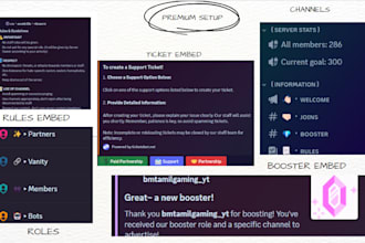 create and set up professional custom discord servers