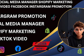 be your social media manager shopify marketing tiktok video fb ads ig promotion