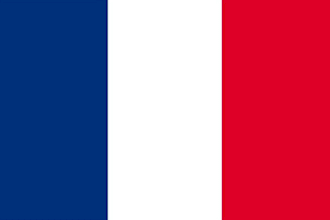 give you france business or consumer sales leads