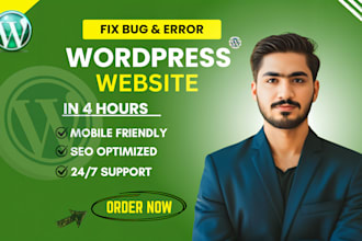 fix wordpress troubleshoot issues, bugs, errors and speed optimization