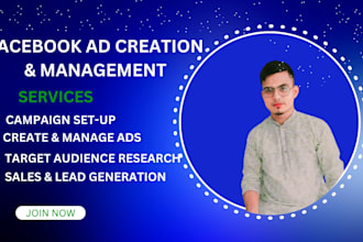 set up and manage your  facebok ads