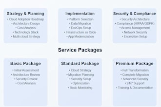 deliver endtoend cloud consulting and optimization services