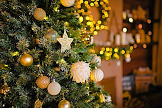 pray deliver a christmas prophetic word and give spiritual cleansing, shielding