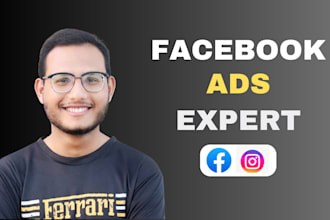 run facebook ads campaign, marketing and instagram promotion