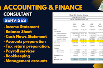 prepare your general ledger, trail sheet, balance sheet, financial statements
