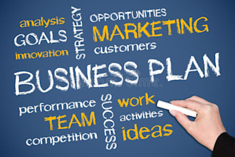 a financial plan, analysis, valuation, and business plan