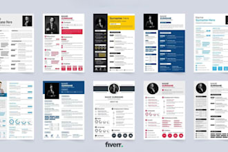 write upgrade and rewrite a professional executive resume