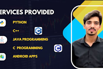python java, cpp programmer development projects, fix bug and mobile app