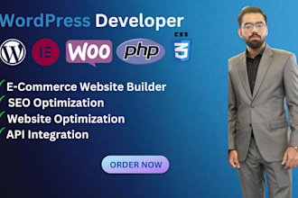 build a professional wordpress ecommerce websites, blogs and management systems