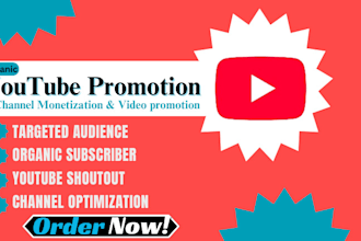 do youtube channel promotion and shoutout video worldwide to gain subscribers