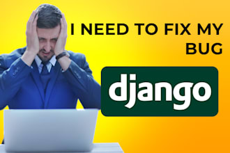 fix your django or flask bugs