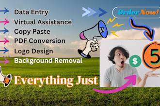 all types of data entry background removal etc everything just price 5 dollar