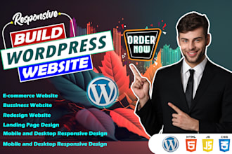create website ,redesign ,build wordpress or business website development