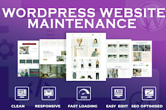 do monthly website maintenance