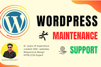 be your website manager provide website maintenance or wordpress support or help