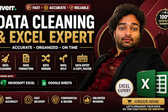 clean, format, merge, split excel data, data entry