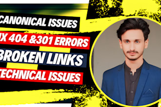 fix 301, 404, broken links, indexing and canonical issues