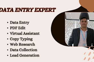 provide fast service and accuracy for any  data entry