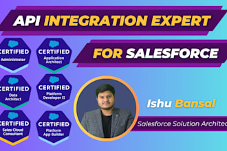 be your API integration expert for salesforce
