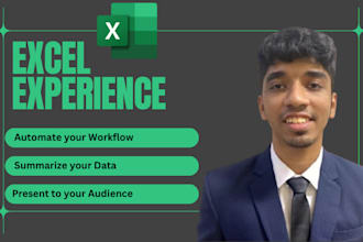 create advance excel worksheets and visualizations