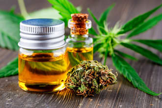 promote your cbd product, marijuana, cannabis, cbd telegram to active audience
