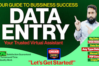 do accurate excel data entry typing work copy paste and web research services