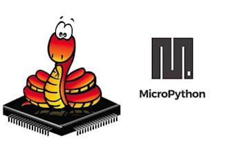 do micropython development for iot, embedded systems and prototyping