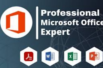 professional in ms office excel,word,powerpoint