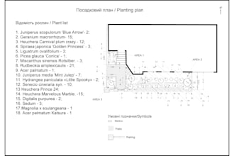 make a dendrological plan and a planting drawing